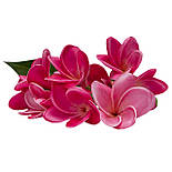 Акація, 43 см, рожевий (631376), фото 2