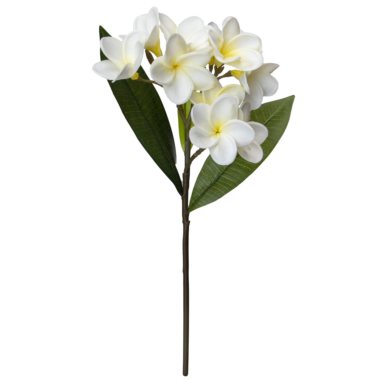 Акація, 43 см, білий (631352), фото 1