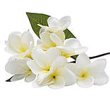 Акація, 43 см, білий (631352), фото 2