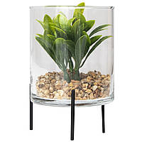 Искусственное растение - Суккулент в стеклянной вазе, 12 см, зеленый (190720)