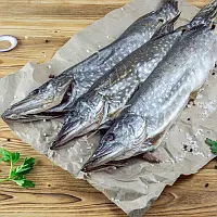 Щука в'ялена, 200-400гр\шт