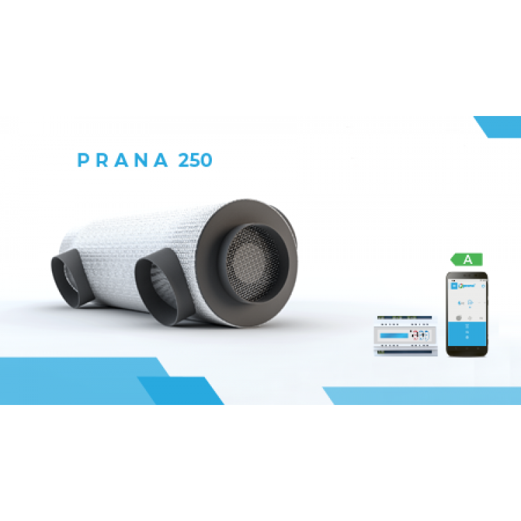 Рекуператор Prana 250 H Standart + (прана 250 Н стандарт плюс) - фото 1 - id-p1604280121