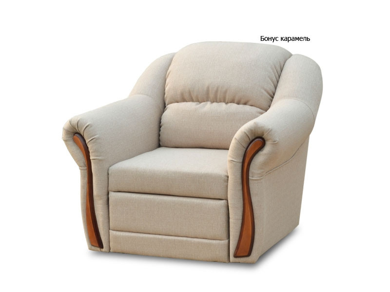 Кресло "Рэдфорд" от Вика (разные цвета) - фото 3 - id-p1604281319