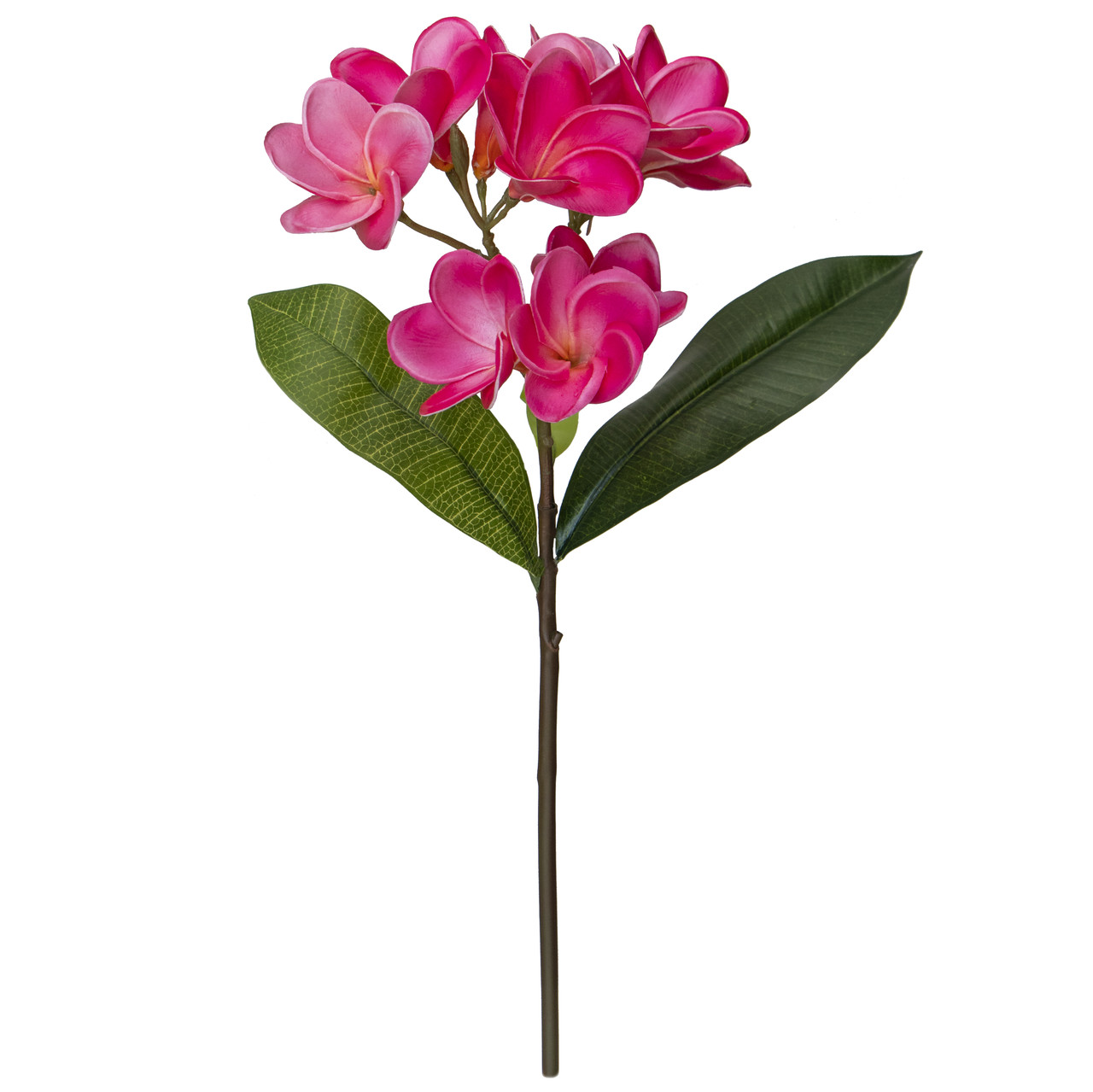 Акація, 43 см, рожевий (631376), фото 1