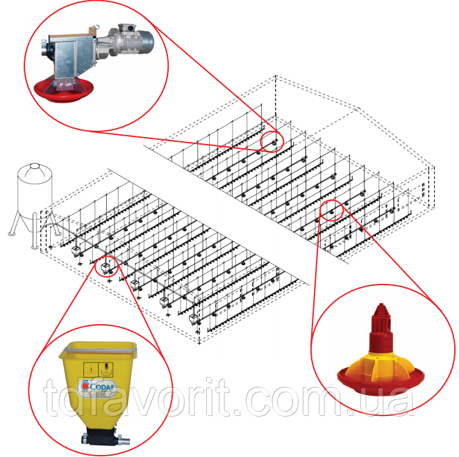 Автоматизовані лінії для годування птиці, фото 1