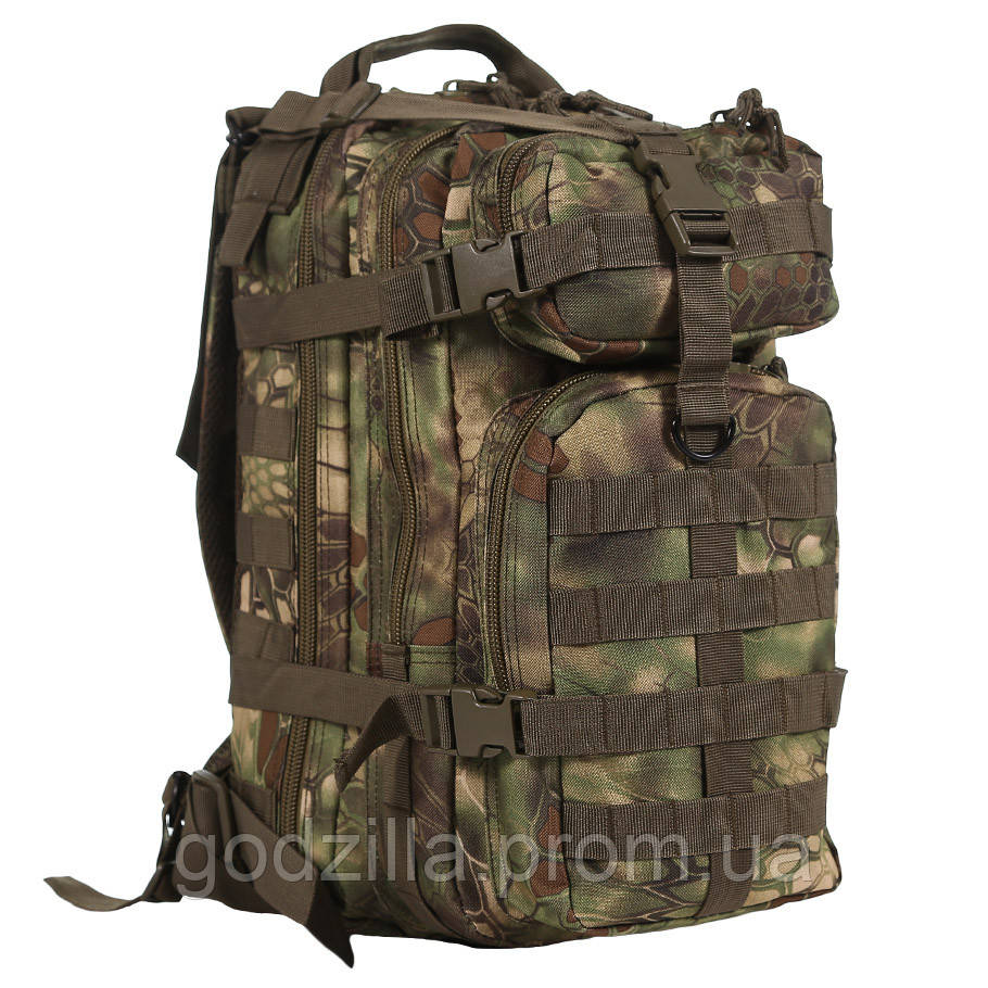 Тактичний рюкзак CAMO ASSAULT G.SNAKE 25 л, фото 1