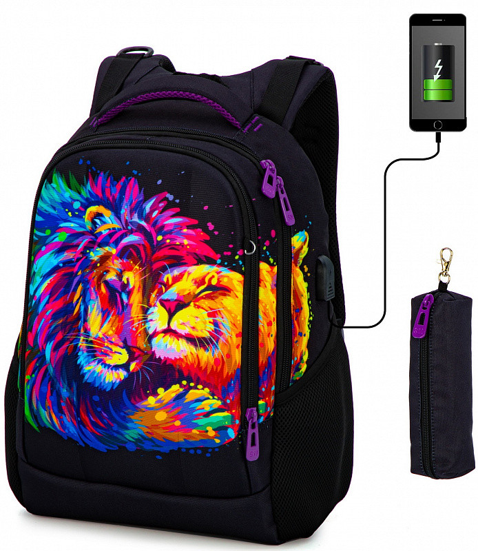 Рюкзак шкільний для дівчинки підлітка 4-9 клас ортопедичний з пеналом принт леви SkyName 57-29