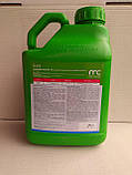 Командор Екстра протруйник, 5 л, фото 2