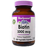 Біотин (Biotin)