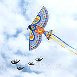 Повітряний змій maxi bird Птах Djeco, фото 2