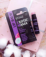 Бальзам для губ Colour Intense Exotic Mania SPF 15. Пітайя