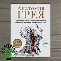 Габриэль Билич Анатомия Грея. Анатомические структуры с оригинальной и современной терминологией