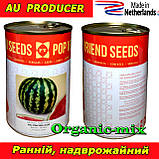 Насіння, надрожайний кавун АУ Продюсер, Рop Vriend Seeds, Нідерланди (Голландія), банка 500 грамів, фото 2