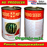 Насіння, надрожайний кавун АУ Продюсер, Рop Vriend Seeds, Нідерланди (Голландія), банка 500 грамів, фото 3