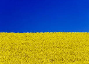 Одяг Патріотичний Український