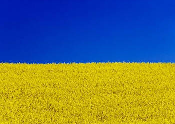 Одяг Патріотичний Український