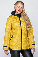 Демісезонна жeнська куртка Ведмедик розміри 50-60