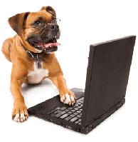 Собаки – це маленькі діти в сім'ї