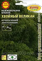 Семена Можжевельник Ютский Хвойный Великан 0,25 грамма Аэлита