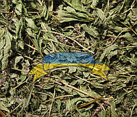 Лофант тибетский трава сухая 1кг