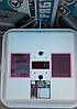 Автоматический домашний инкубатор Рябушка Smart Turbo-48 цифровой, фото 4