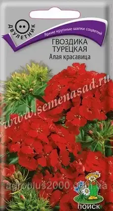 Насіння Гвоздика турецьке Алая Красуня 0,5 грама Пошук, фото 3