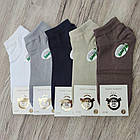 Шкарпетки жіночі весна/осінь короткі бамбук асорті р.36-41 V.I.P 30035010, фото 6