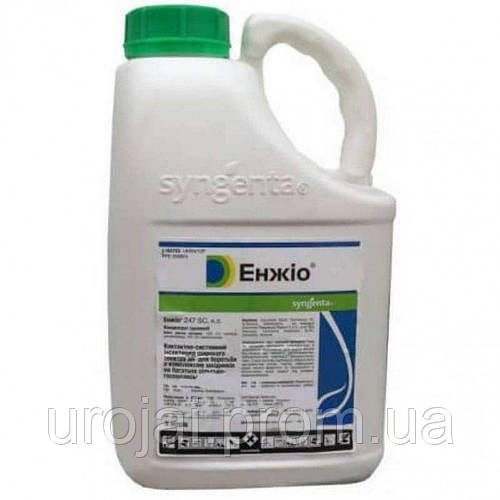 ИНСЕКТИЦИД ЭНЖИО, 5л, SYNGENTA, цена 7290 грн — Prom.ua (ID#1605020134)
