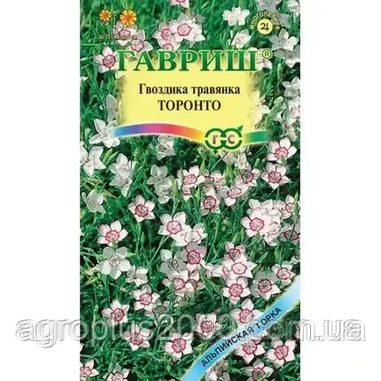 Насіння Гвоздика трав'янка Торонто 0,1 грама Гавріш, фото 1
