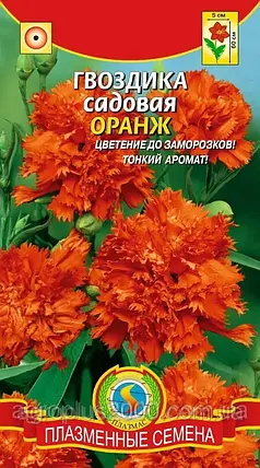 Насіння Гвоздика садове Оранж 0,1 грама Агроніка, фото 1