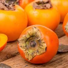 Хурма привита "Сосновська"