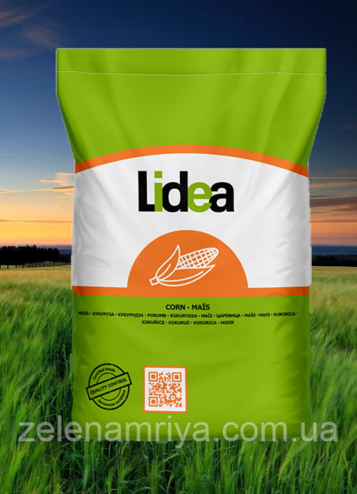 Насіння кукурудзи МЕЙФЛАВЕР ( Lidea  )  ФАО: 330