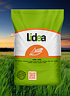 Насіння кукурудзи ІНІЦІ ( Lidea  )  ФАО: 360