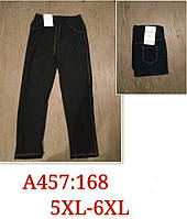 Жіночі штани-лосини "Ластівка" (5-6XL)велікан