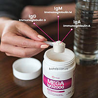 Microbiome Labs Mega IgG2000 Powder, фото 3