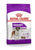 Royal Canin (Роял Канин) Giant Adult -Сухой корм для взрослых собак гигантских пород 15 кг