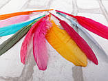 Пір'я декоративні кольорові, мікс кольорів h 7-15 см 10 шт\уп., фото 6