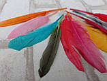 Пір'я декоративні кольорові, мікс кольорів h 7-15 см 10 шт\уп., фото 5