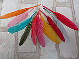 Пір'я декоративні кольорові, мікс кольорів h 7-15 см 10 шт\уп., фото 3