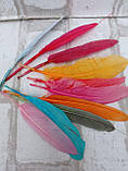 Пір'я декоративні кольорові, мікс кольорів h 7-15 см 10 шт\уп., фото 7