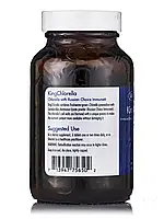 KingChlorella, 600 Chewable Tablets BX133, фото 3