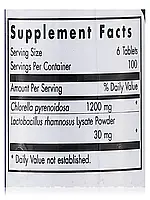 KingChlorella, 600 Chewable Tablets BX133, фото 4