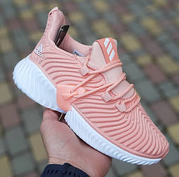 Жіночі кросівки Adidas Alphabounce сітка літо-весна-осінь пудрові. Живе фото
