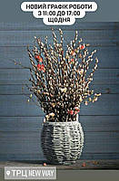 магазин в ТРЦ NewWay працює з 11:00 до 17:00