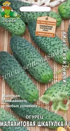 Насіння Огірок партенокарпічний Малахітова Скринька F1, 12 насіння Пошук, фото 2