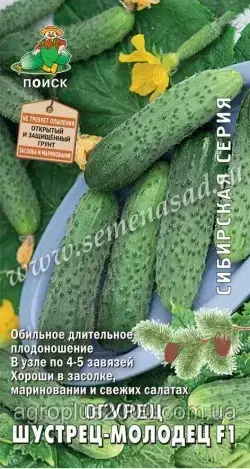 Насіння Огірок партенокарпічний Шустрець -Молодець F1, 12 насіння Пошук