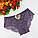 Трусики Planjoy "Троянда" ажурні різні кольори (9603), фото 10