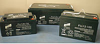Аккумуляторная батарея FAAM серии FLL12-150