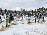 Огорожа на кладовище кована АРТ.КО 27, фото 8