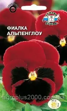 Насіння Віола Альпенглоу швейцарський гігант 0,05 грама, фото 1
